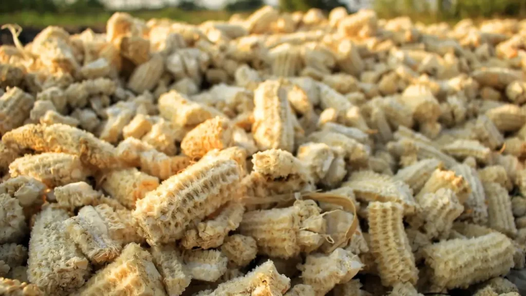 3 Ways to Create Value from Agricultural Waste