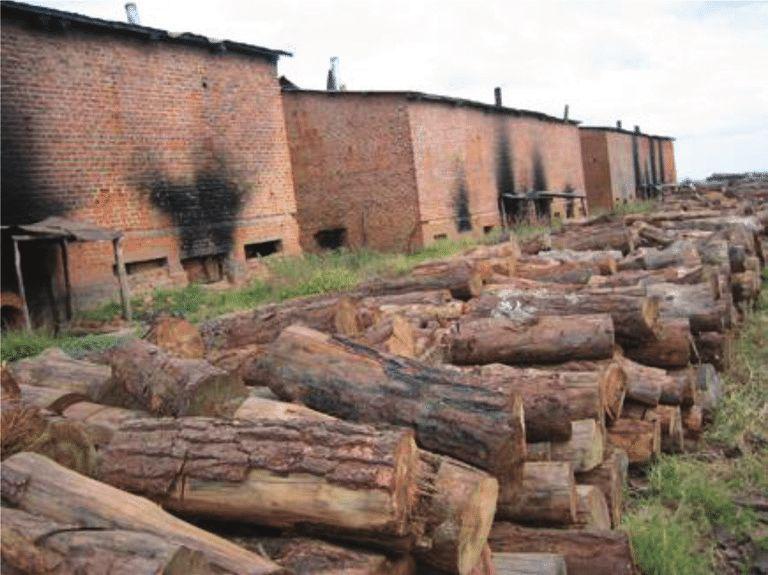 ENERGY TRANSITION PROJECT IN  SUB SAHARAN AFRICA